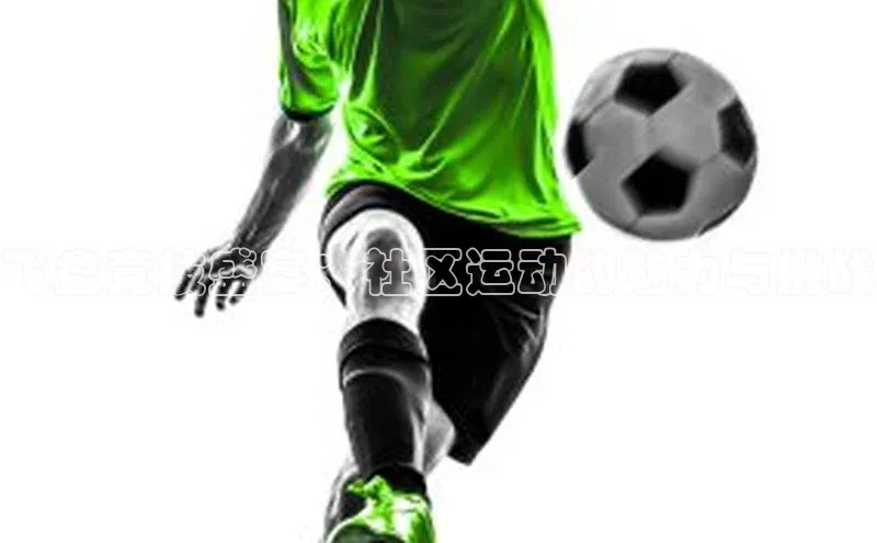 尊龙凯时人生就是搏z6com